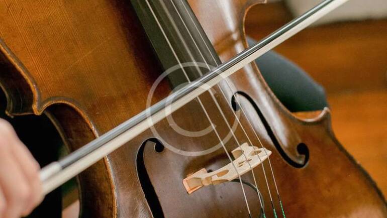 5 Popular Viola performances